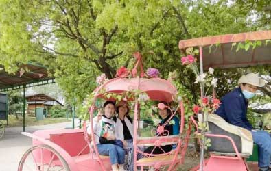 齊心協(xié)力，團(tuán)結(jié)一致 昆山穩(wěn)卓蘇州西山團(tuán)建之旅